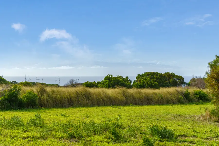 55-442 Hoea Rd, Hawi, HI 96719 - Image #3