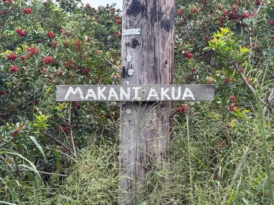 Makaniakua Rd, Naalehu, HI 96772 - Image #3
