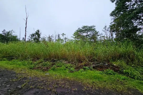 16-1920 36th Ave, Kurtistown, HI 96760