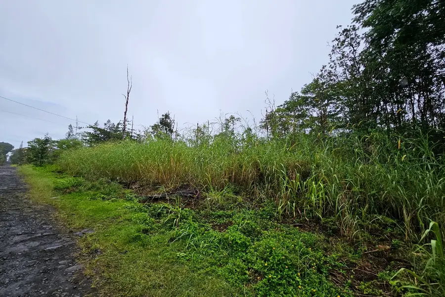 16-1920 36th Ave, Kurtistown, HI 96760 - Image #2