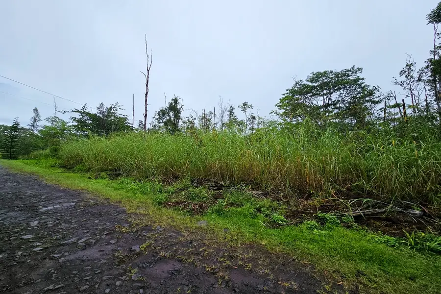 16-1920 36th Ave, Kurtistown, HI 96760 - Image #3