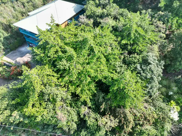 Kaohe Rd #Lot 12, Captain Cook, HI 96704