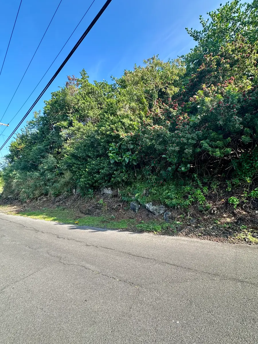 Kaohe Rd #Lot 12, Captain Cook, HI 96704 - Image #3