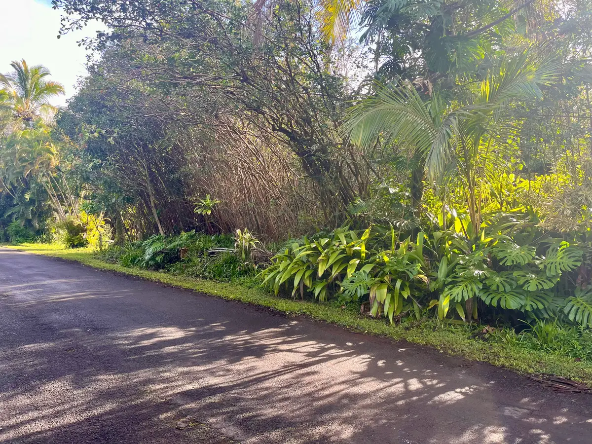 Ocean View Pkwy, Pahoa, HI 96778 - Image #1