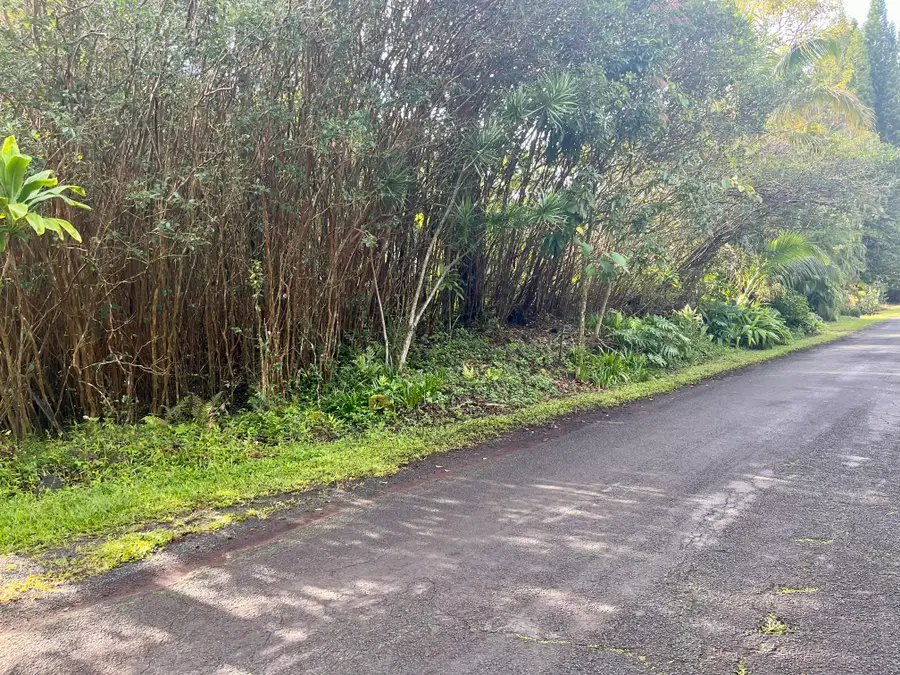 Ocean View Pkwy, Pahoa, HI 96778 - Image #2