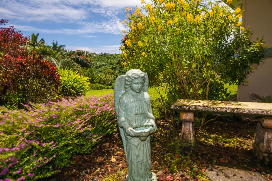 2110 Kaneka St #70, Lihue, HI 96766 - Image #3