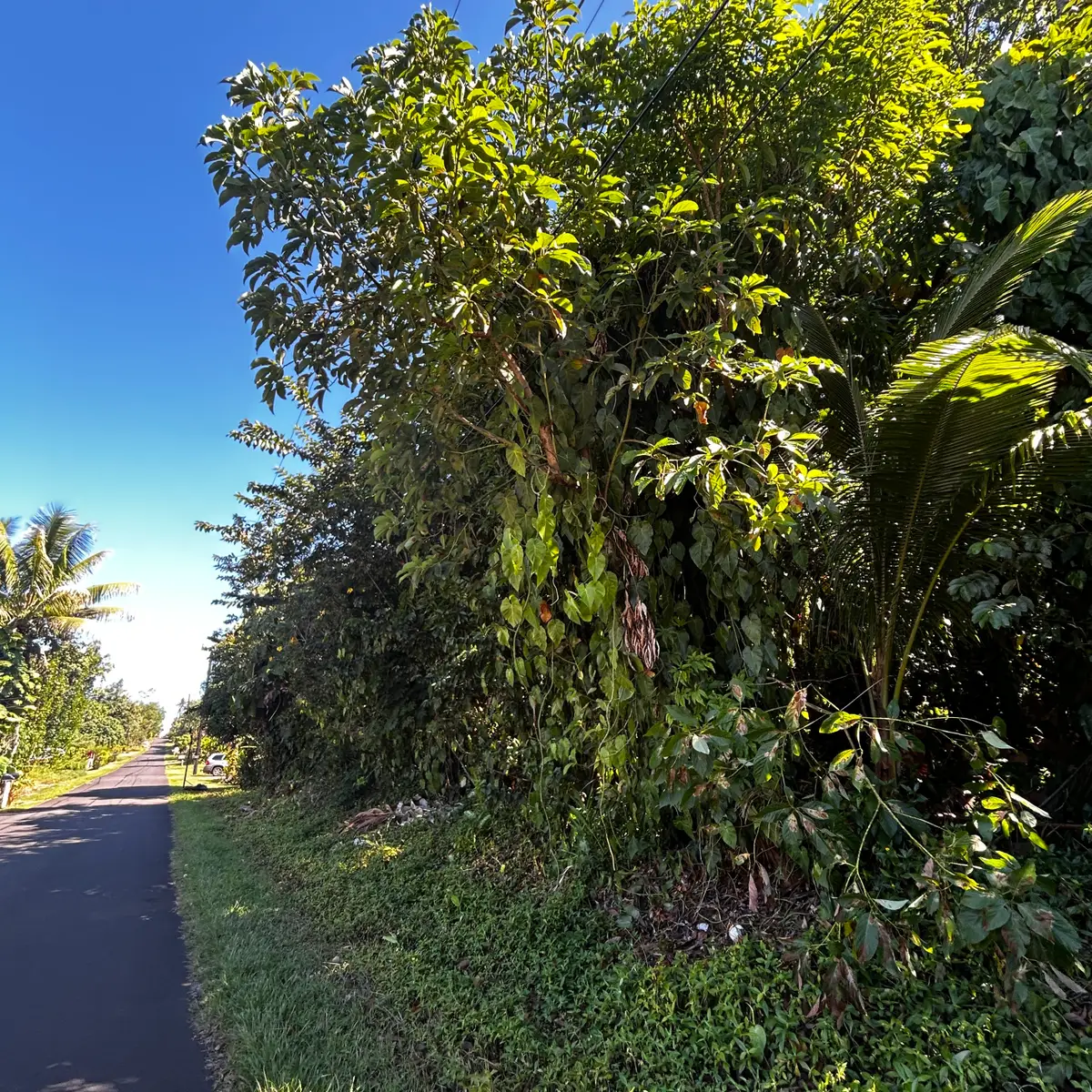 Opae St, Pahoa, HI 96778 - Image #1