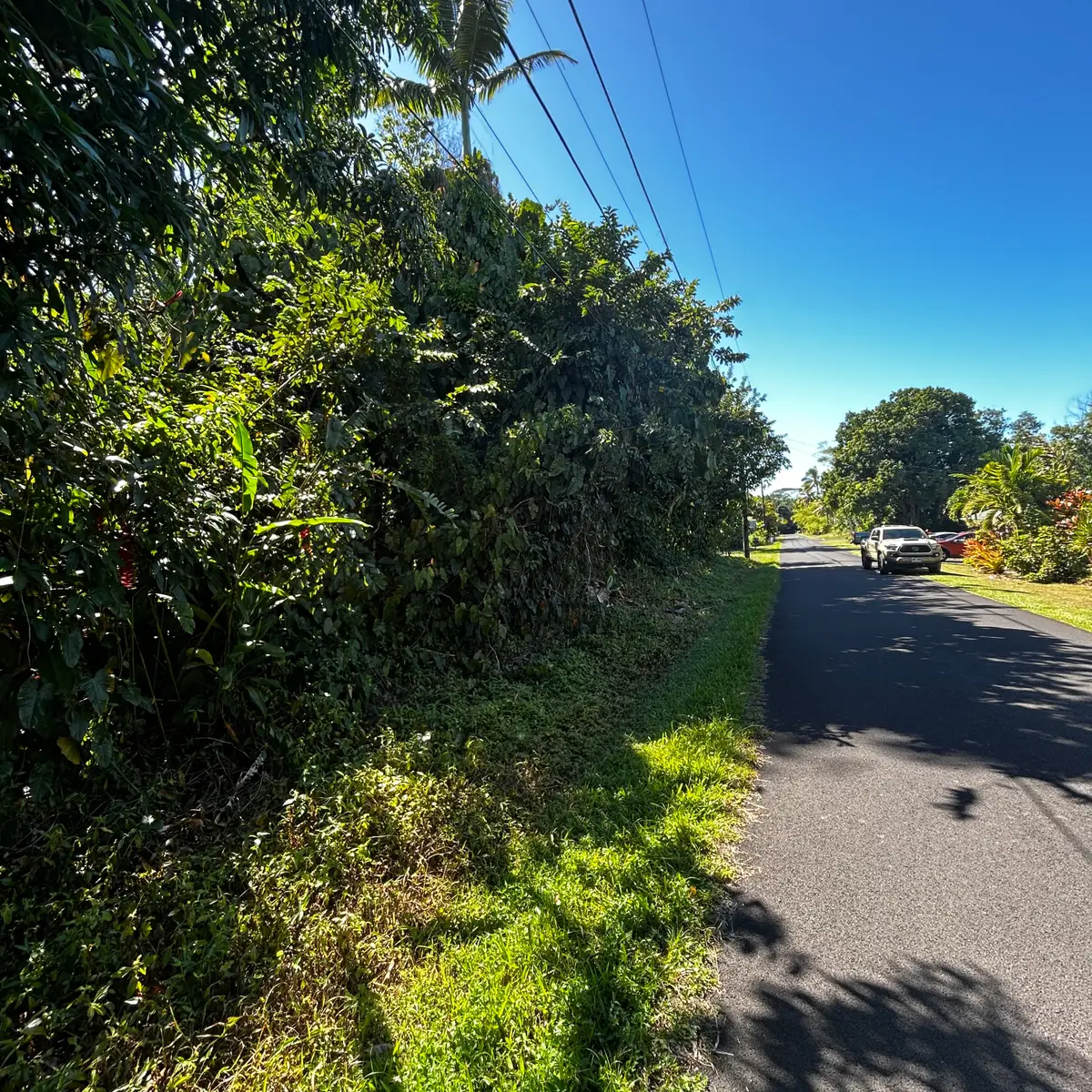 Opae St, Pahoa, HI 96778 - Image #1