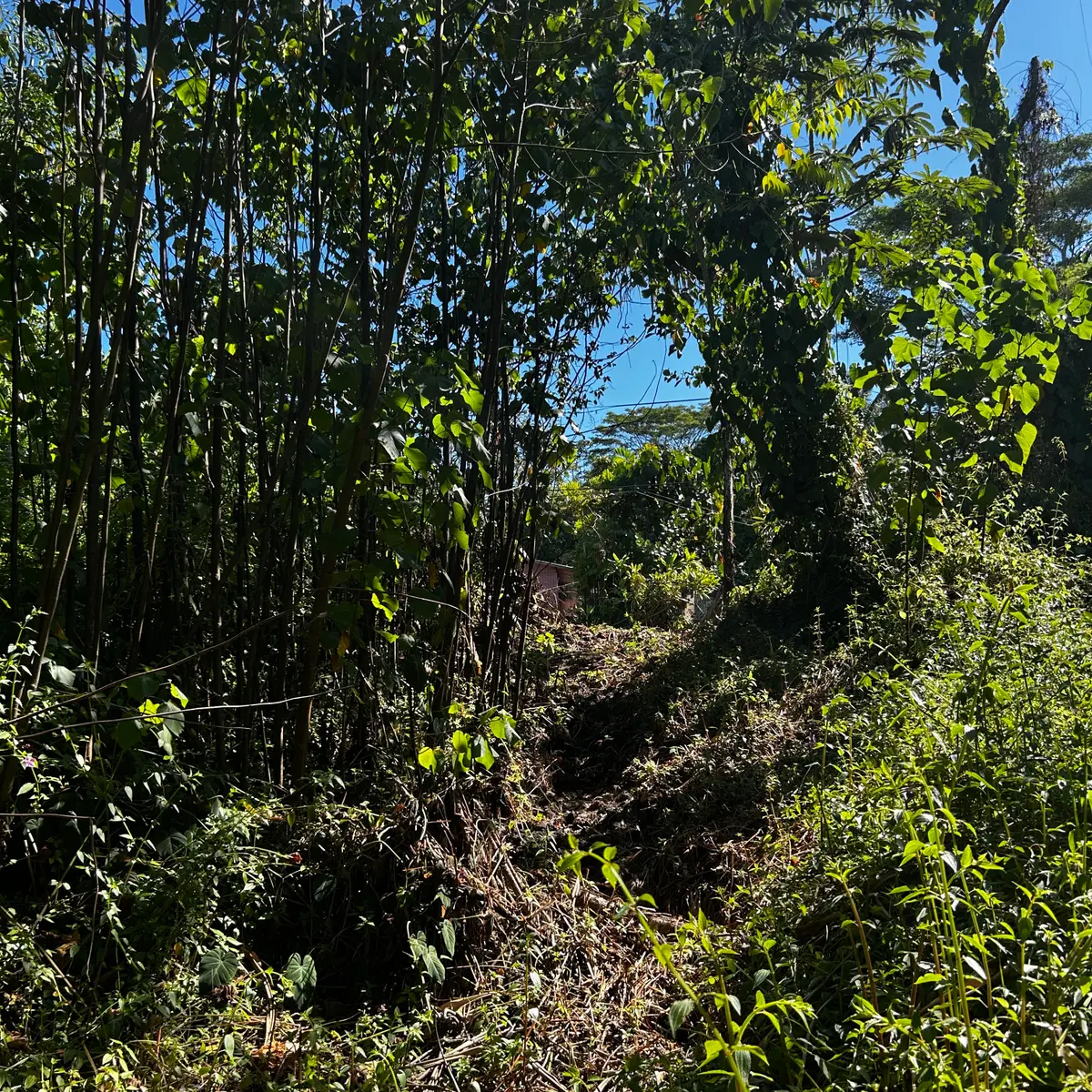 Oopu St, Pahoa, HI 96778 - Image #1