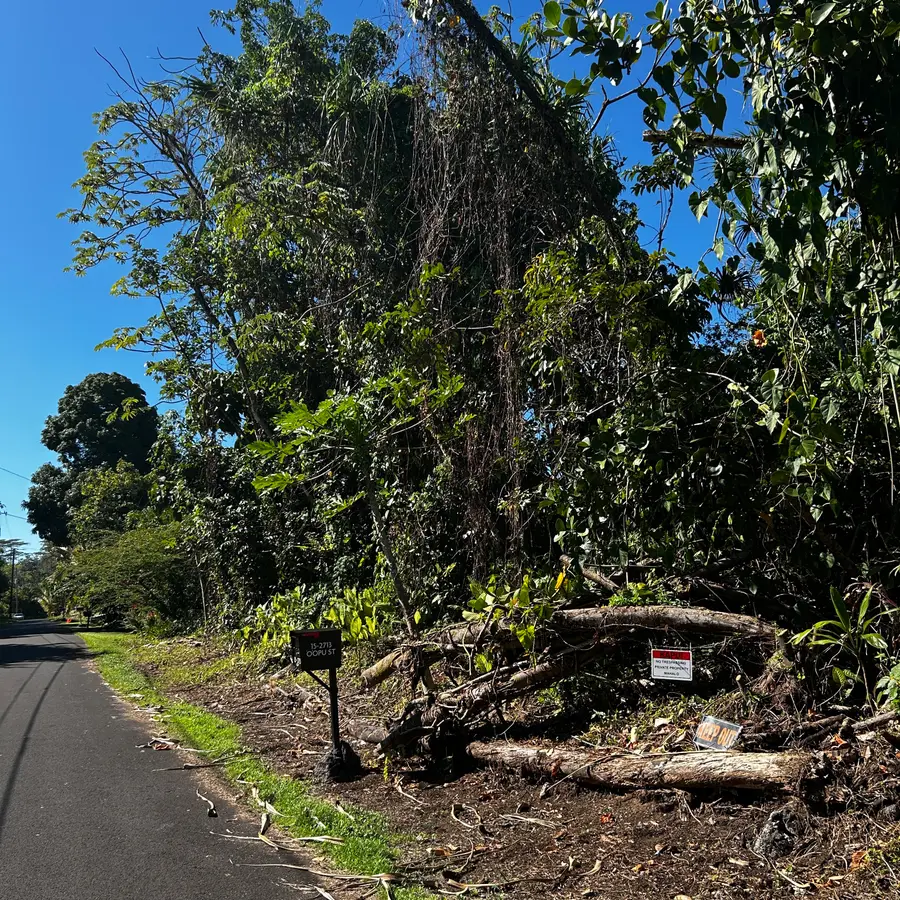 Oopu St, Pahoa, HI 96778 - Image #2