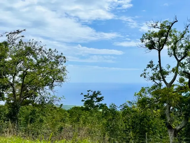 84-1178 Telephone Exchange, Captain Cook, HI 96704 - Image #2