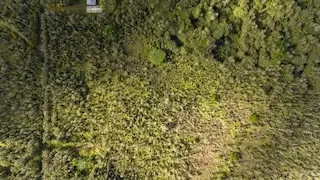 Road 2 (ao), Mountain View, HI 96760