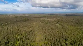 Road 2 (ao), Mountain View, HI 96760