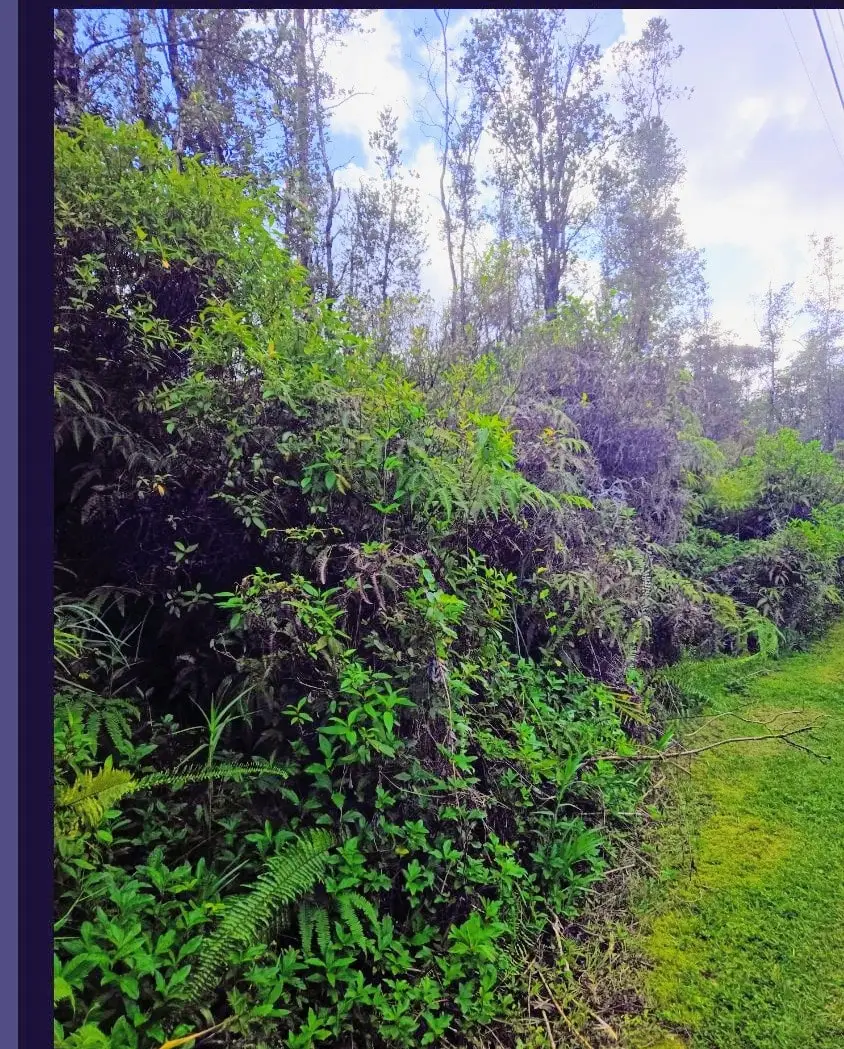 Aulii St, Kurtistown, HI 96760 - Image #2