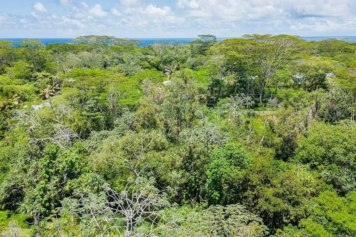Nenue St, Pahoa, HI 96778 - Image #1