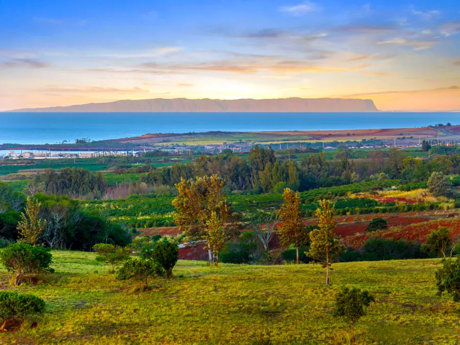 3 Lolo Rd, Kalaheo, HI 96741 - Image #2