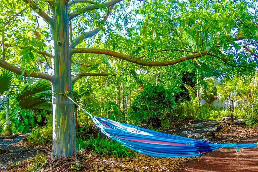 15-2003 3rd Ave, Keaau, HI 96749 - Image #2