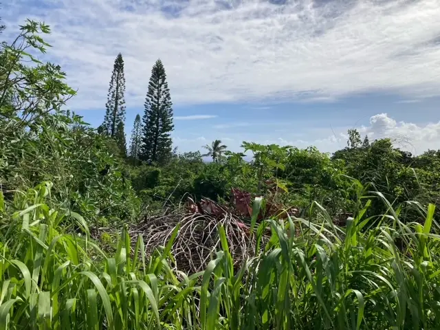 Kaulua Circle, Naalehu, HI 96772 - Image #2
