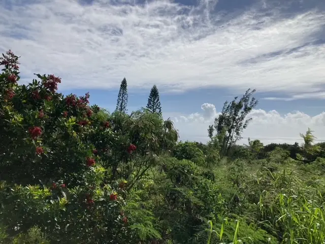 Kaulua Circle, Naalehu, HI 96772 - Image #3