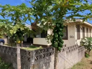 95-5565 Nahele St, Naalehu, HI 96772 - Image #2