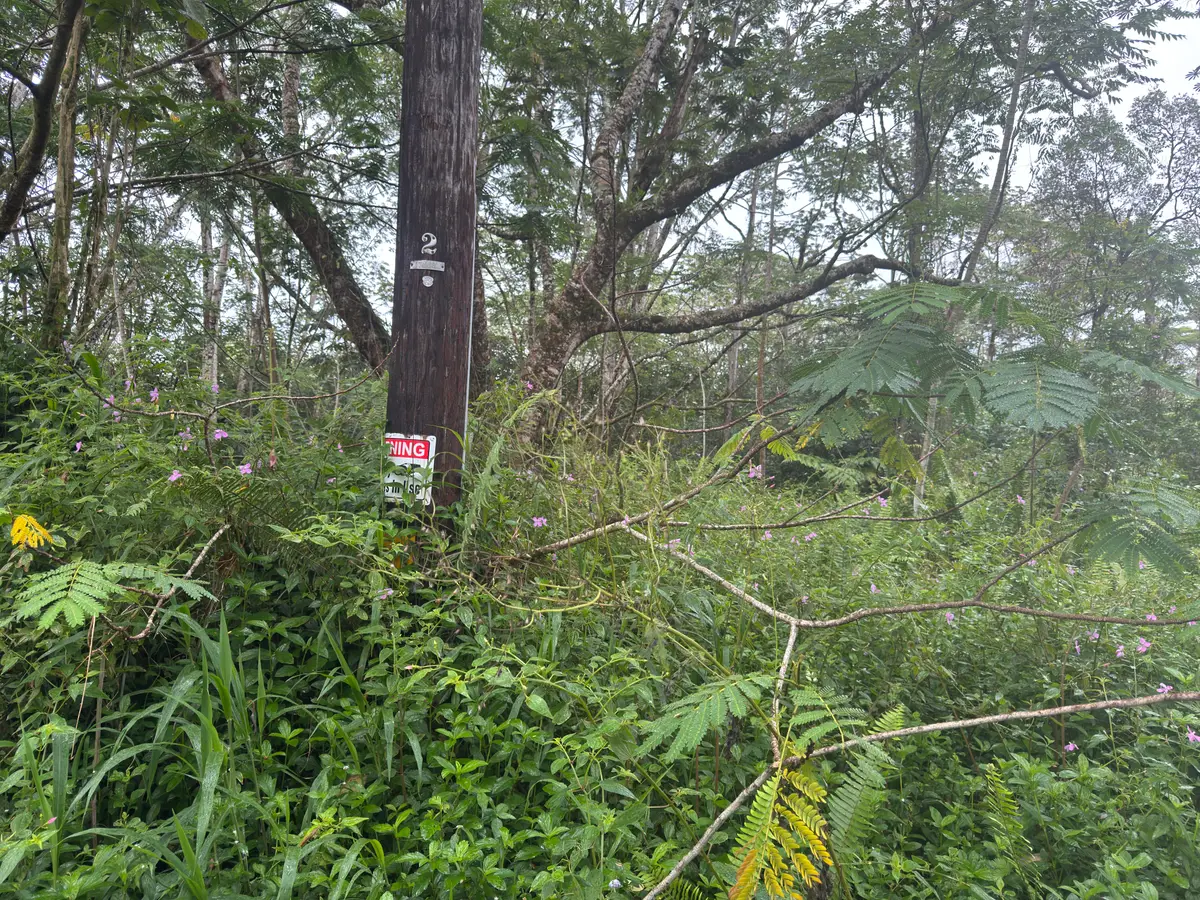 Pahoa Circle, Pahoa, HI 96778 - #1