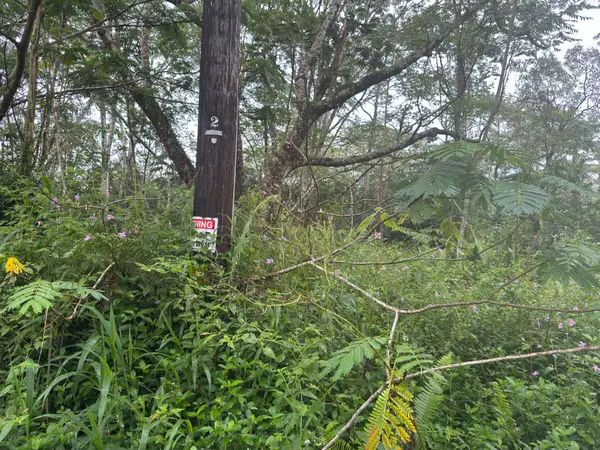 Pahoa Circle, Pahoa, HI 96778