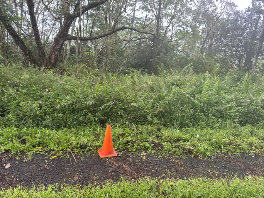 Pahoa Circle, Pahoa, HI 96778 - #2