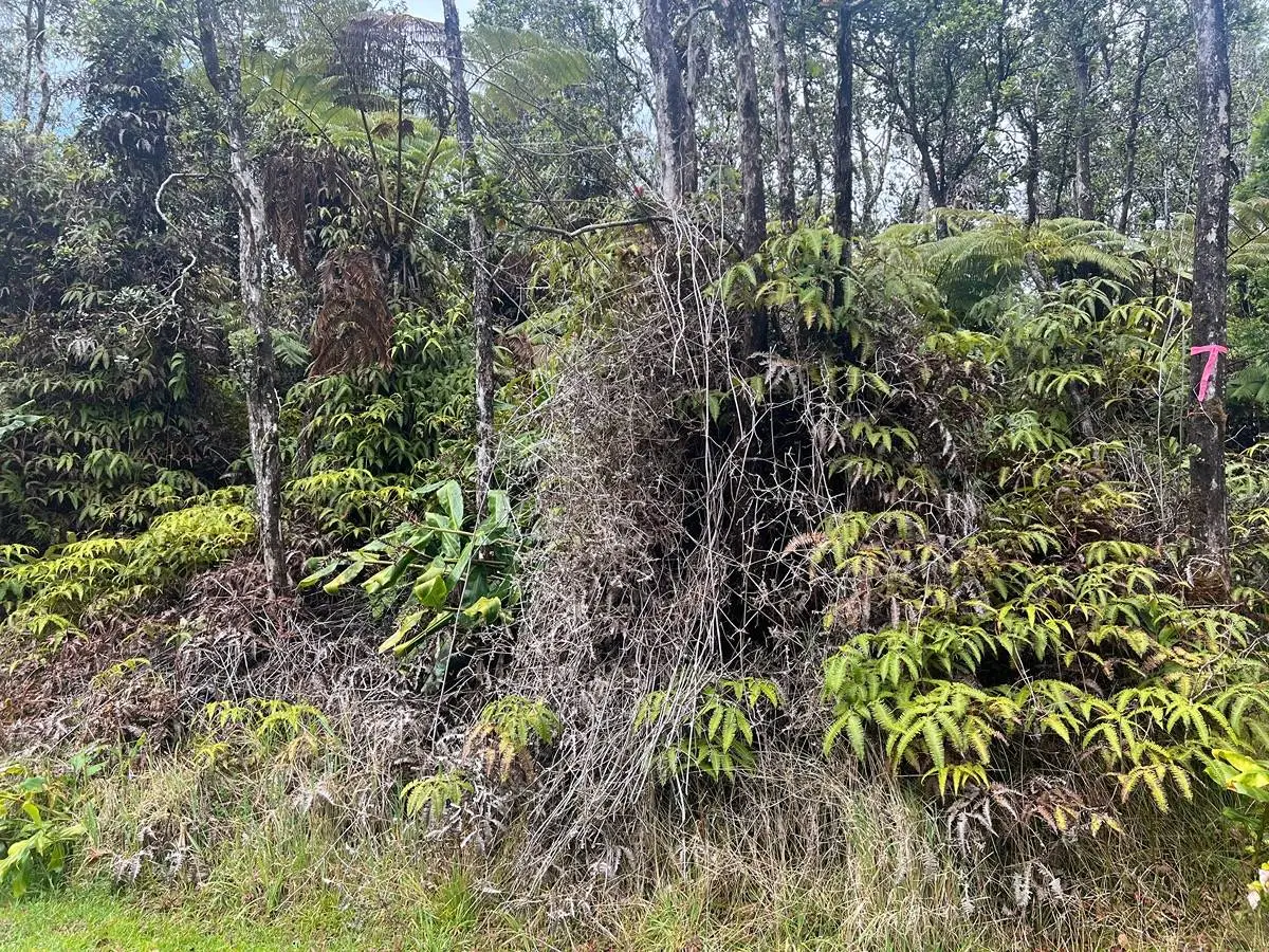 Ala Ohia St, Volcano, HI 96785 - Image #1