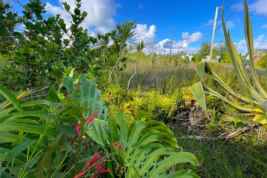 Kapohanalu St, Pahoa, HI 96778 - #2