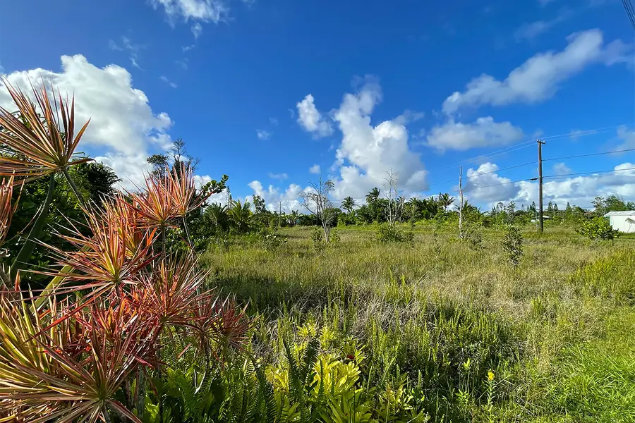 Kapohanalu St, Pahoa, HI 96778 - #3