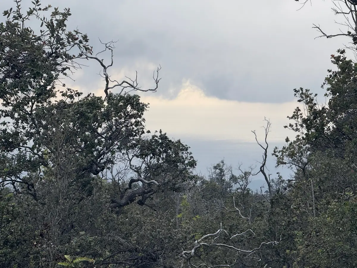 92-9037 Leilani Pkwy, Ocean View, HI 96737 - Image #1