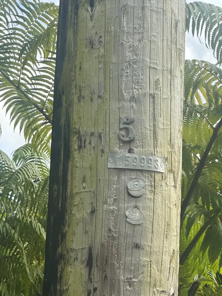 18-1272 Kauai St, Mountain View, HI 96771 - Image #2