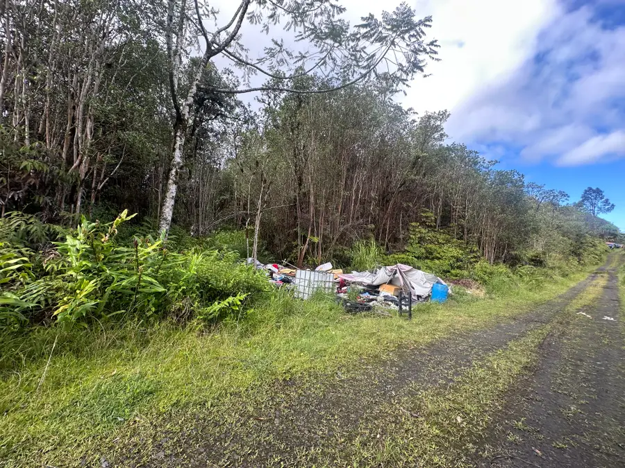 18-1272 Kauai St, Mountain View, HI 96771 - Image #3