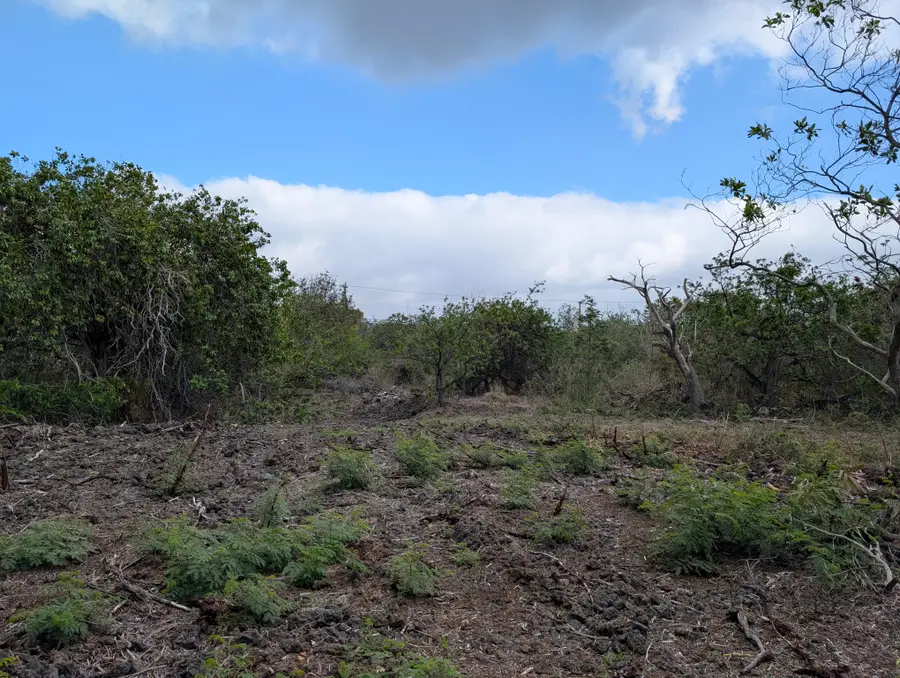 92-8415 King Kamehameha Blvd, Ocean View, HI 96737 - Image #2