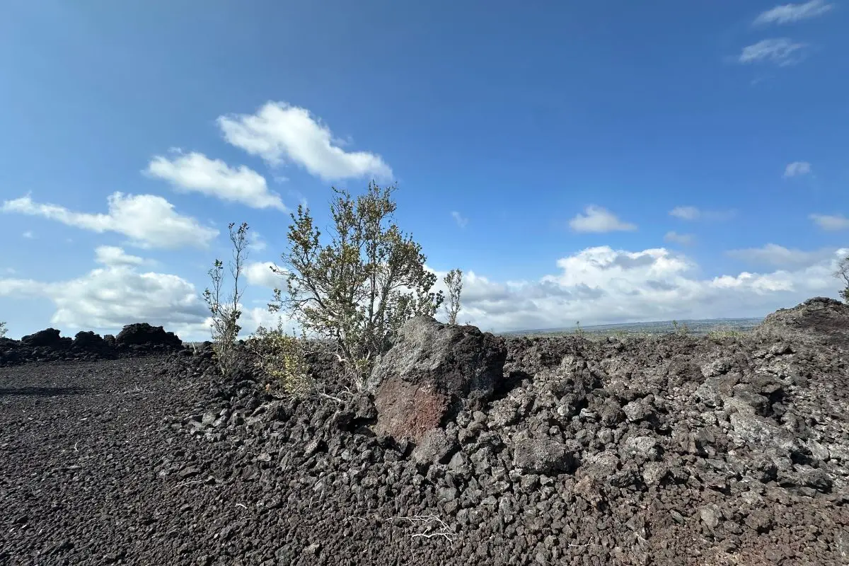 92-1185 Kona Gardens Rd, Ocean View, HI 96737 - Image #1