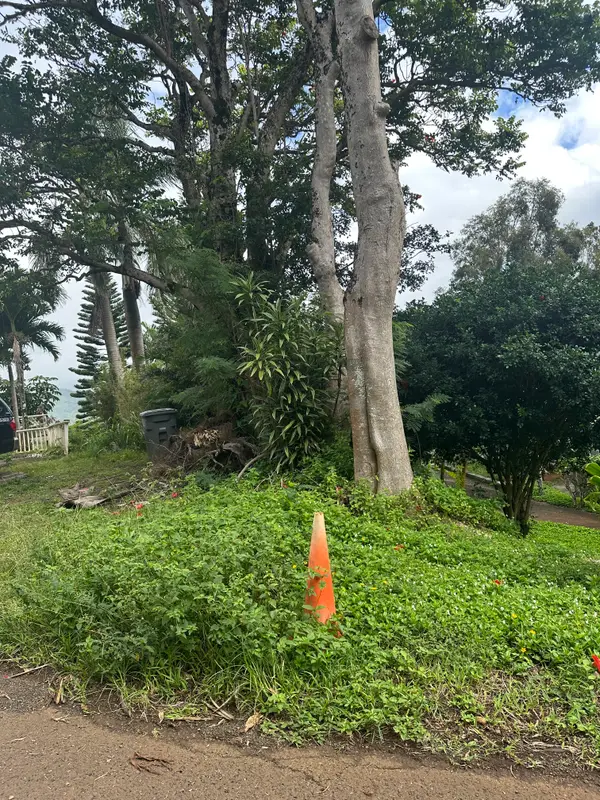Puuwai Rd, Kalaheo, HI 96741