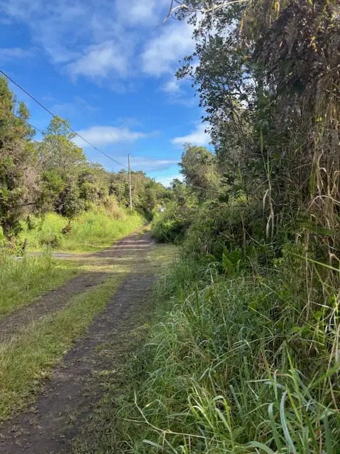 Waikiki St, Mountain View, HI 96771