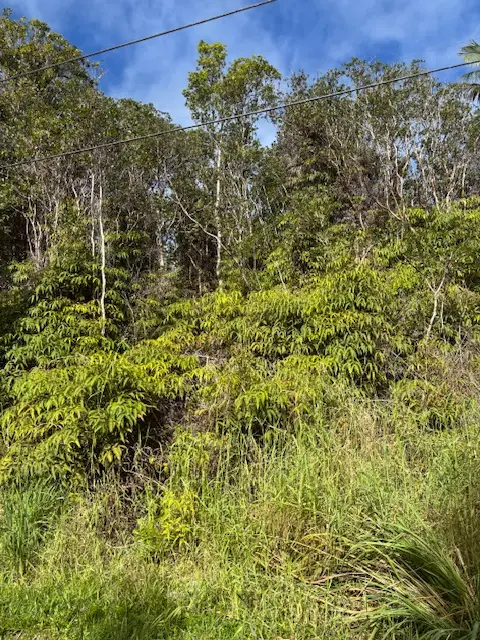 Waikiki St, Mountain View, HI 96771 - Image #2