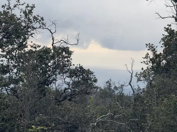 92-9035 Leilani Pkwy, Ocean View, HI 96737