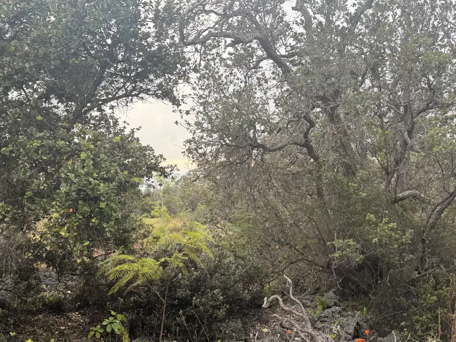 92-9035 Leilani Pkwy, Ocean View, HI 96737 - Image #2