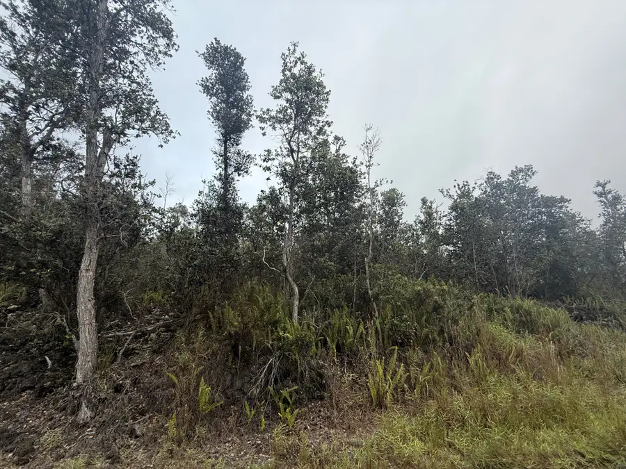 92-9170 Tree Fern Ln, Ocean View, HI 96737 - Image #3