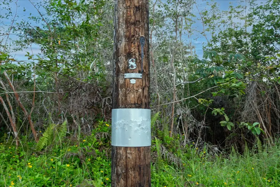 24th Ave, Keaau, HI 96749 - Image #3