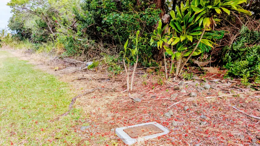 94-6579 Kamaoa Rd, Naalehu, HI 96772 - Image #3