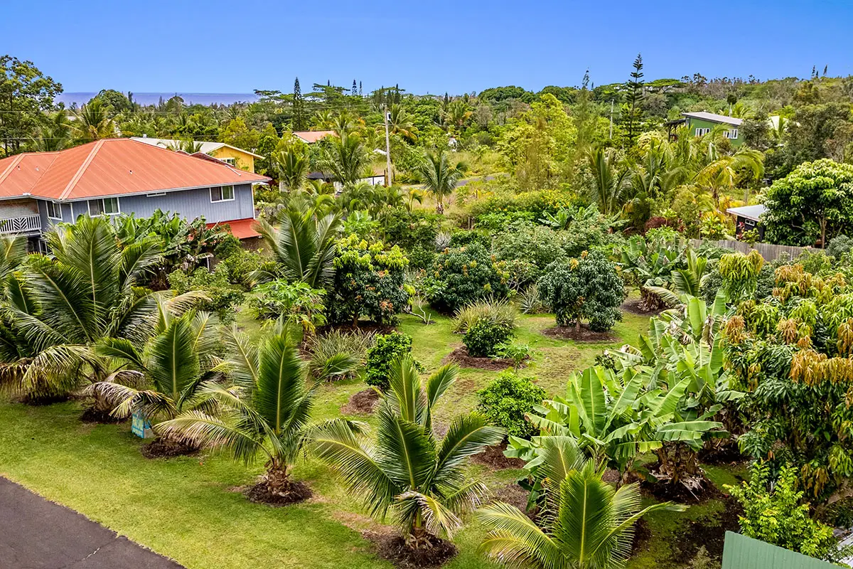 Mapuana Ave, Pahoa, HI 96778 - Image #1