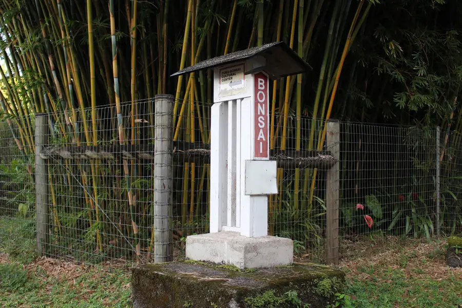 17-856-A Olaa Rd, Kurtistown, HI 96760 - Image #2