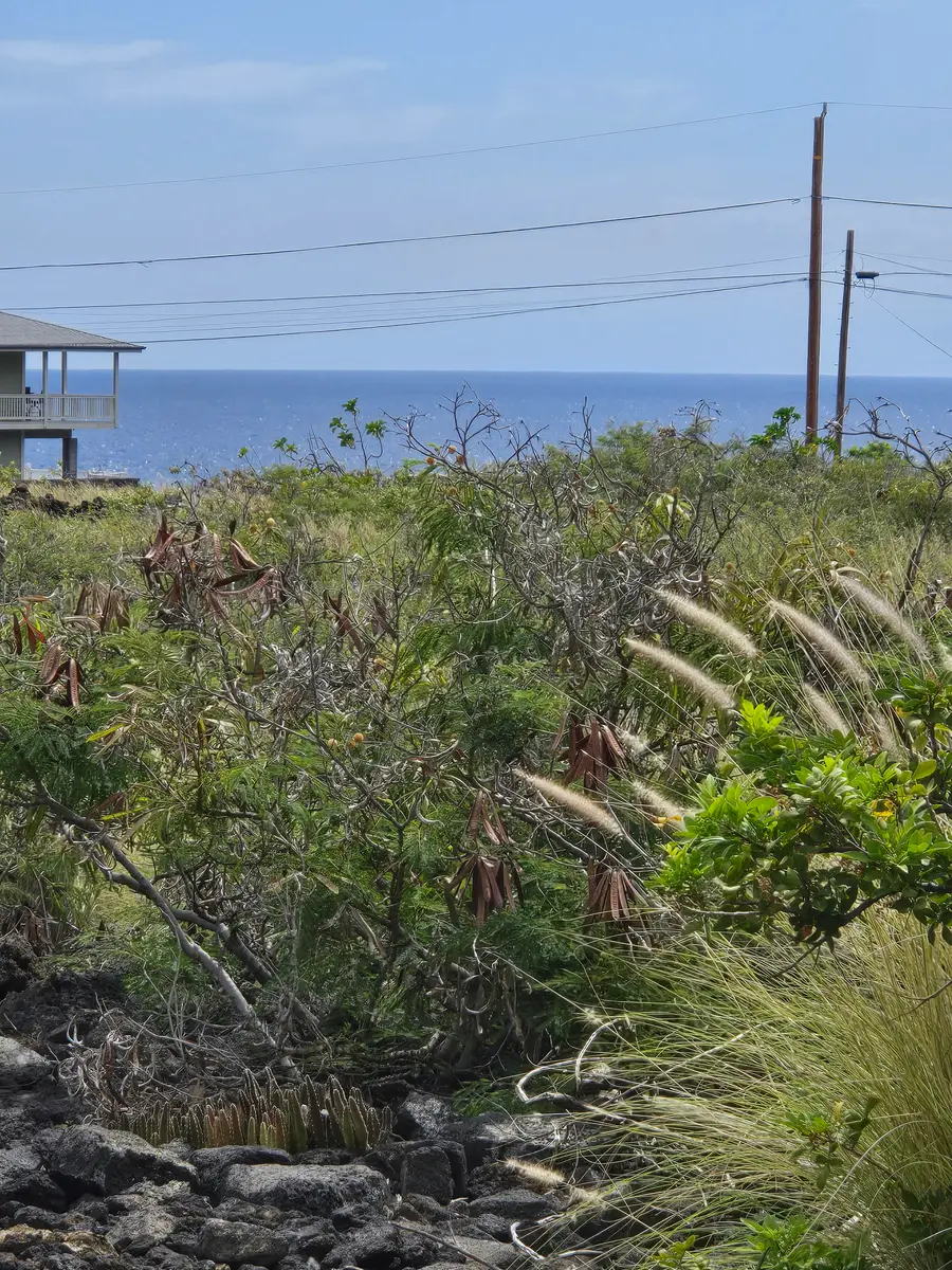 Akahi Ave, Captain Cook, HI 96704 - Image #2