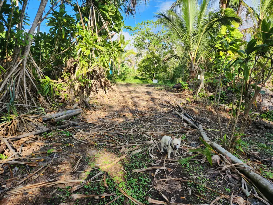 Pohakupele Lp, Pahoa, HI 96778 - Image #2