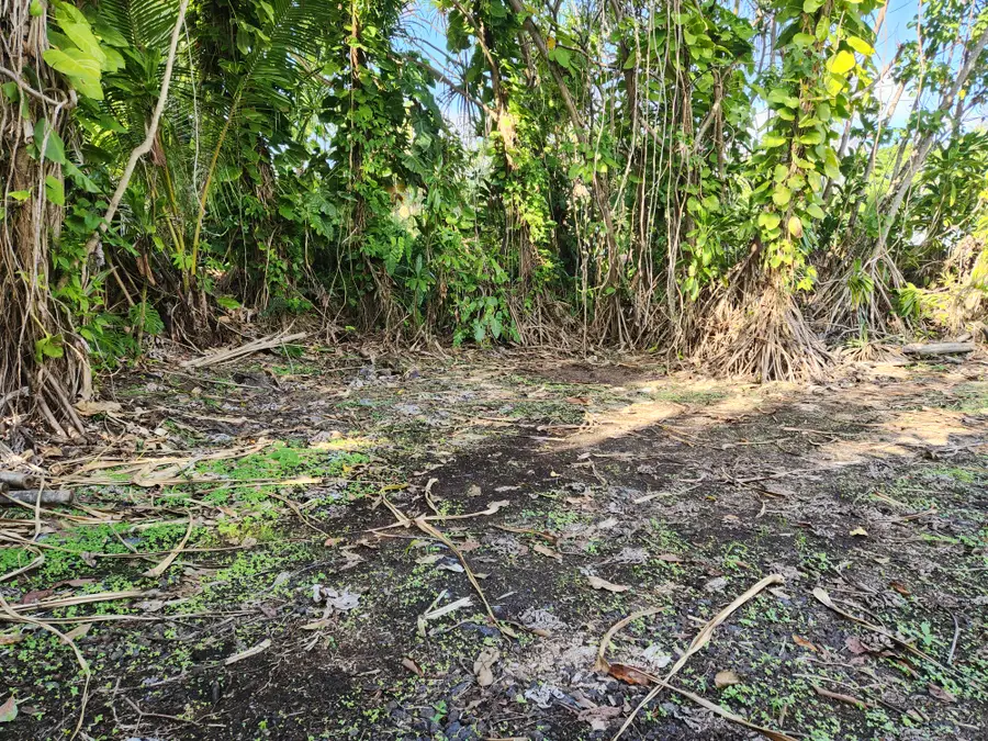 Pohakupele Lp, Pahoa, HI 96778 - Image #3