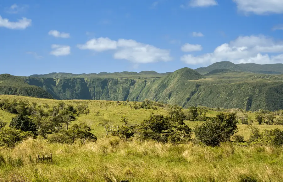 47-5343 Waikoekoe Ln, Honokaa, HI 96727 - Image #2