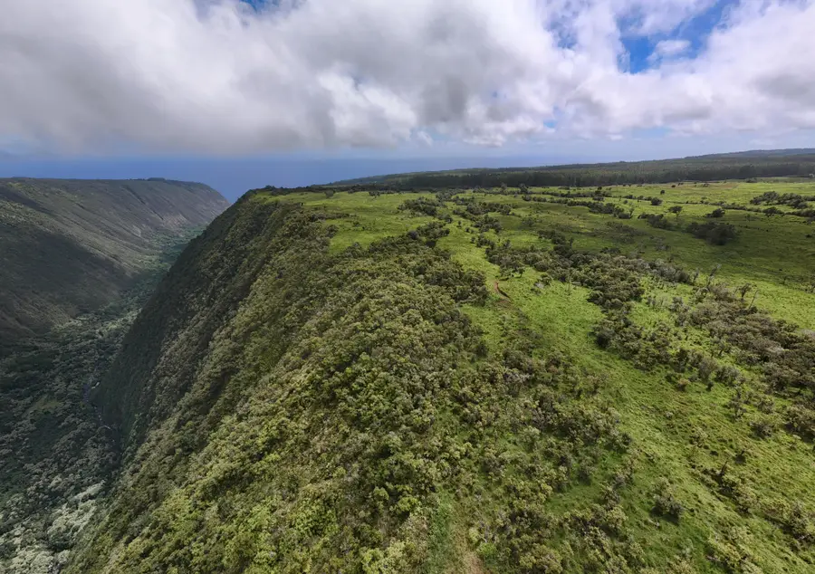 47-5343 Waikoekoe Ln, Honokaa, HI 96727 - Image #3